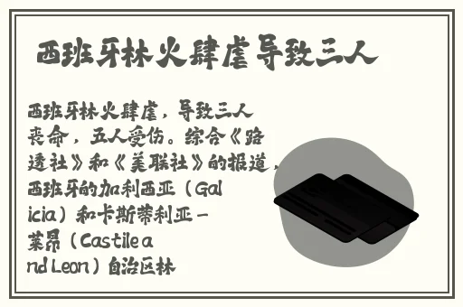 浪货两个都满足不了你
