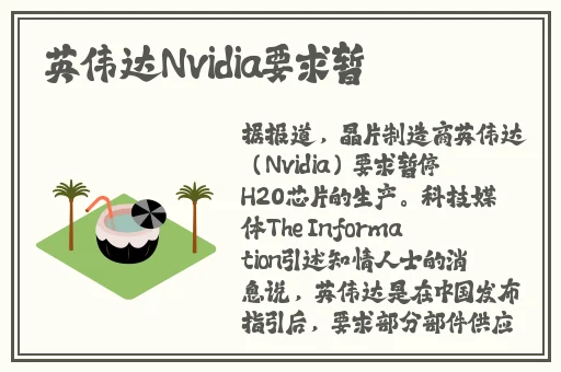 小猪视频下载app在线观看
